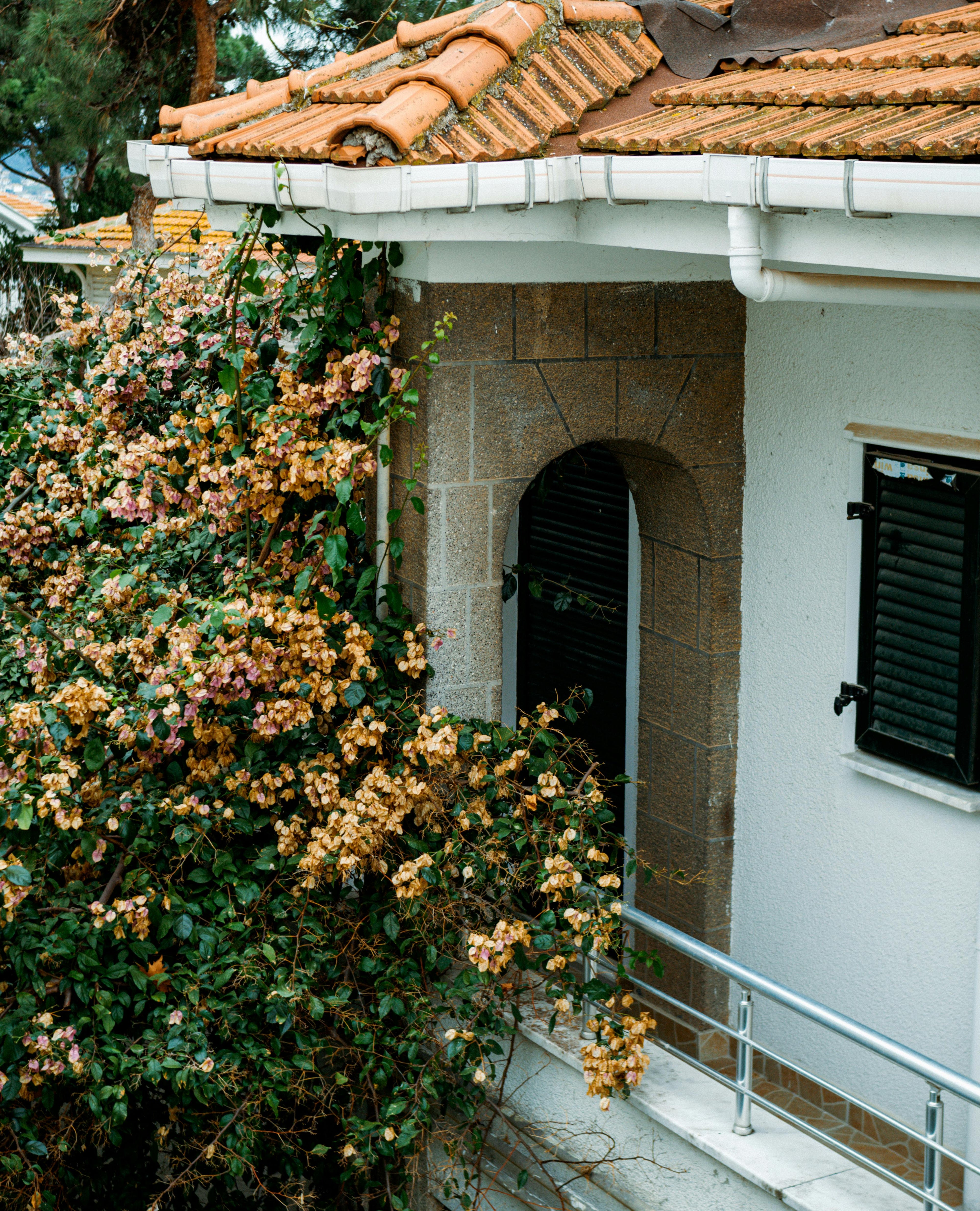 White building with a tiled roof and stone archway, surrounded by climbing plants.